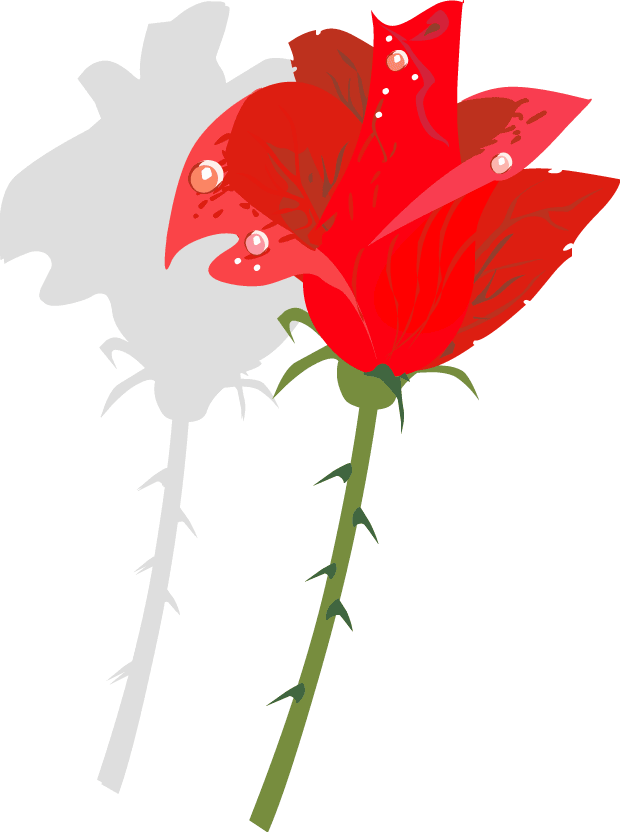 thorns and roses drawings. clip art rose border